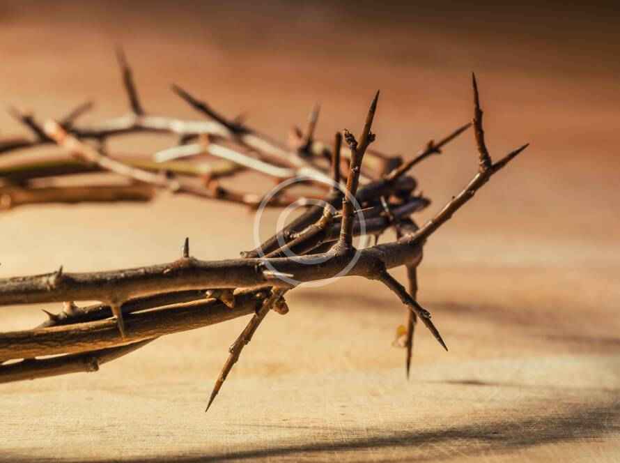 Post29 copyright 890x664