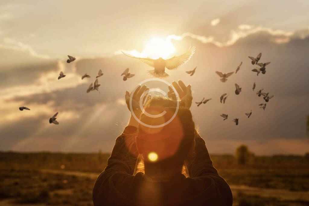 Post14 copyright 1024x683