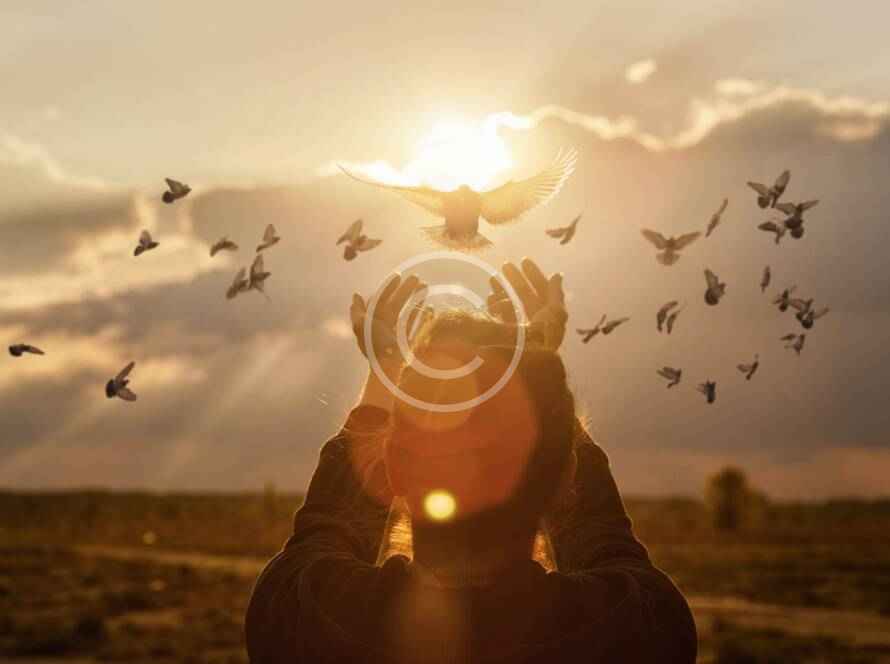 Post14 copyright 890x664