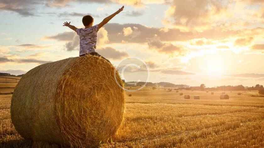 Post18 copyright 840x473