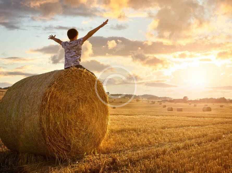 Post18 copyright 890x664