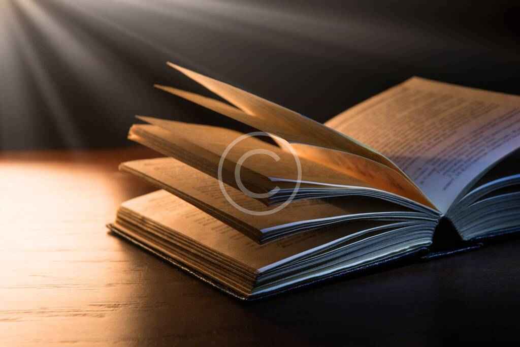 Post5 copyright 1024x683