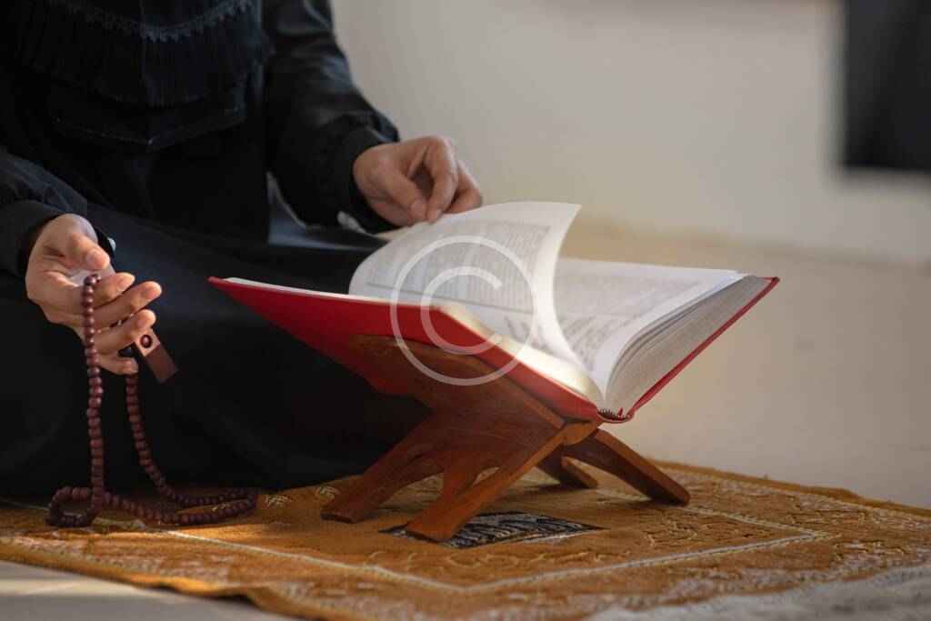 Post6 copyright 1024x683