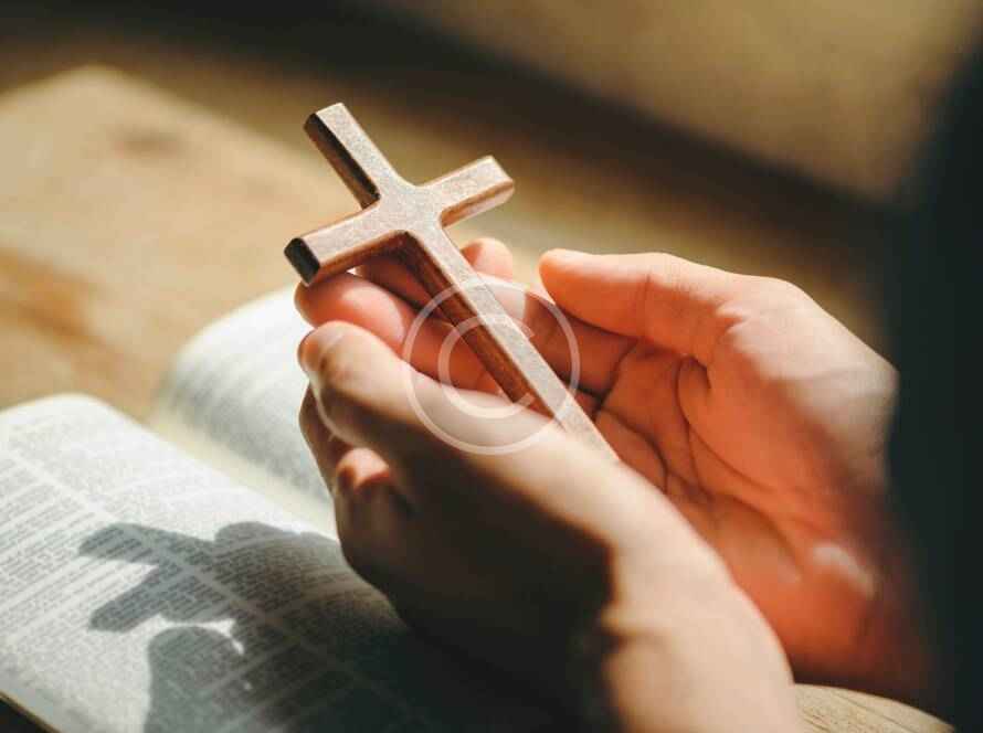 Post8 copyright 890x664